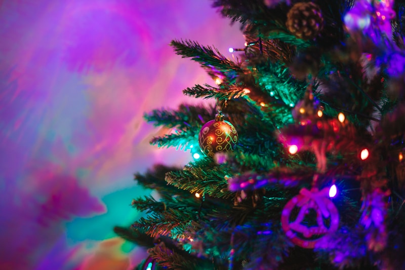 Festivity