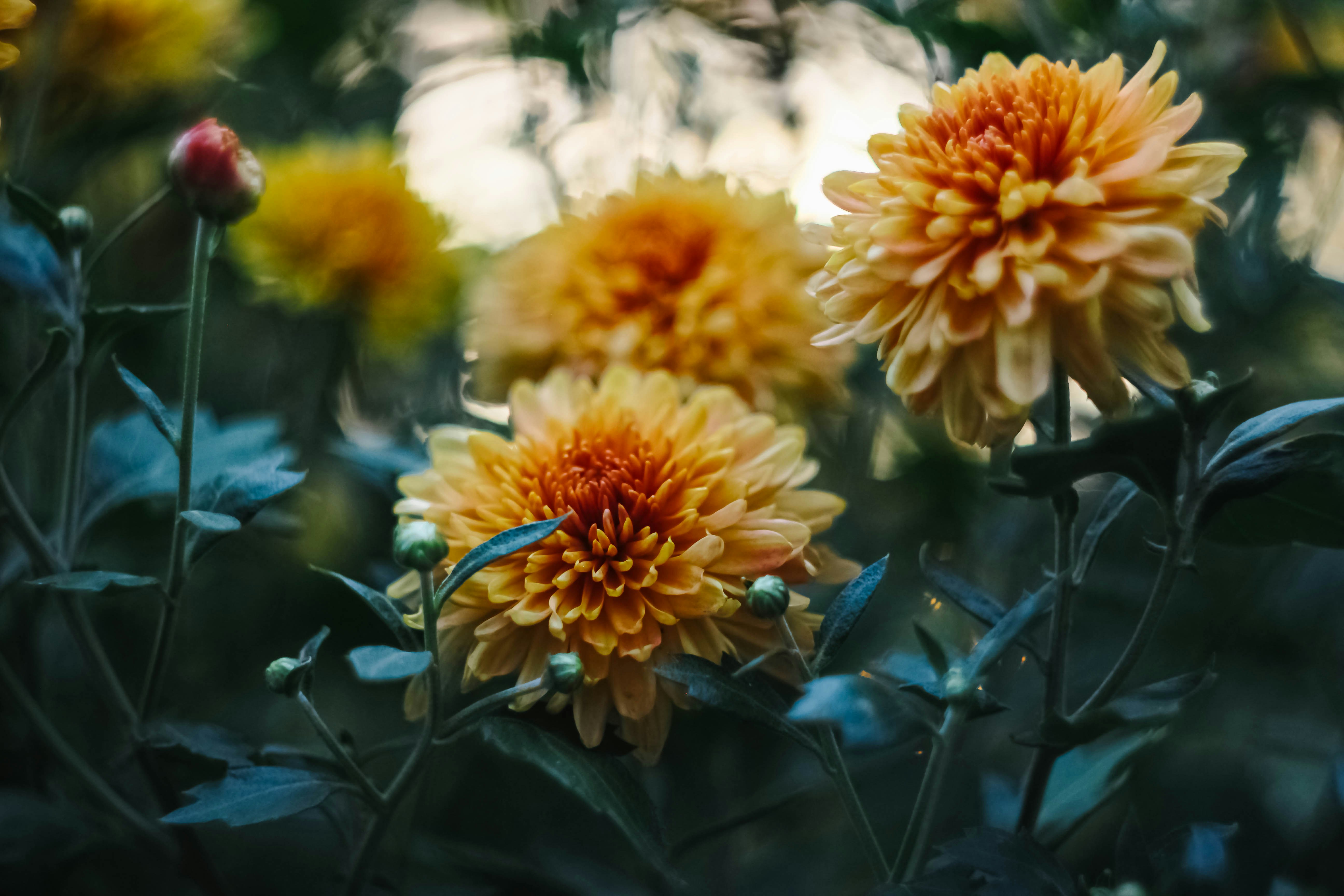 Photo by hls44