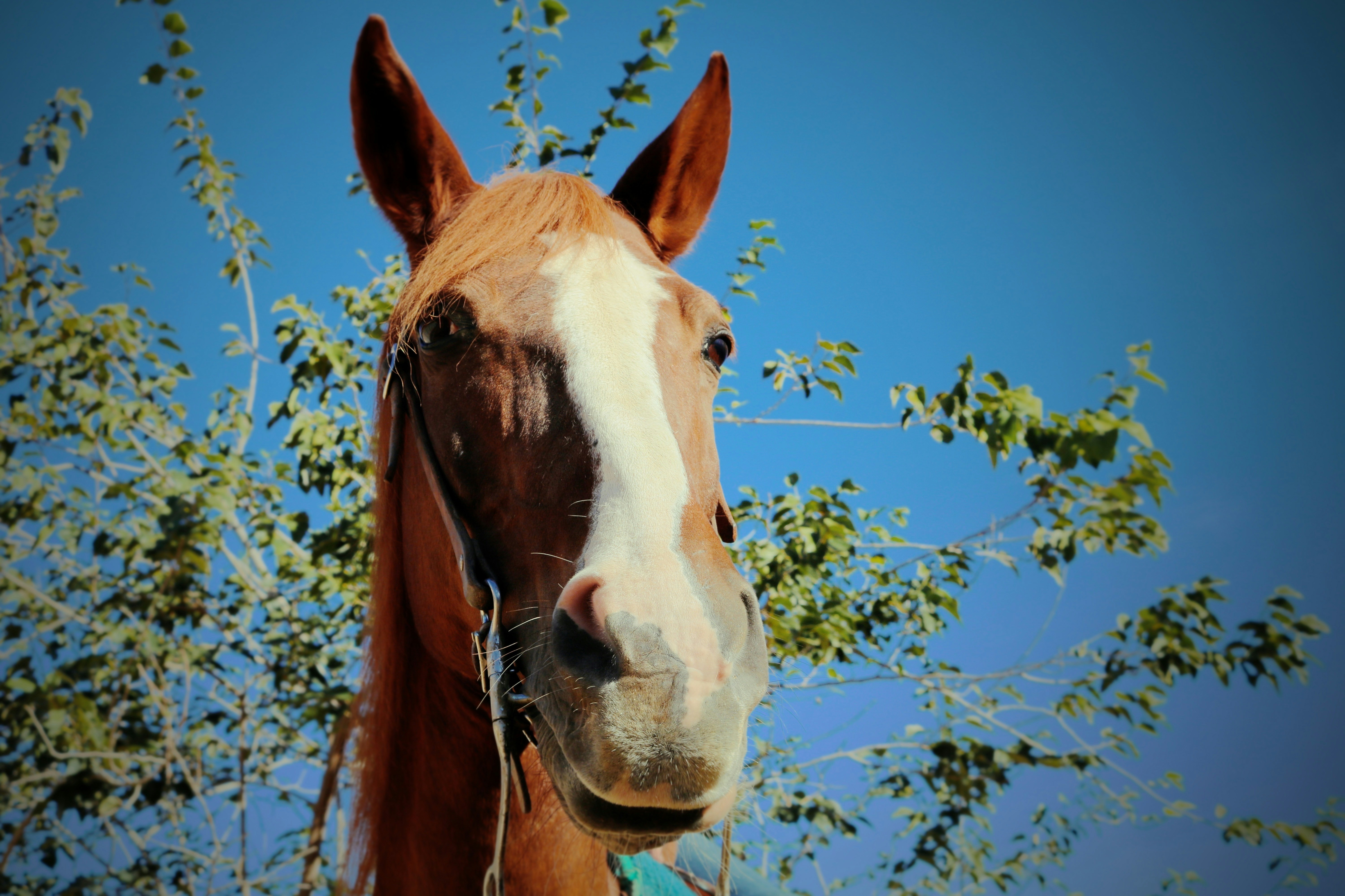 Photo by picsbyjameslee