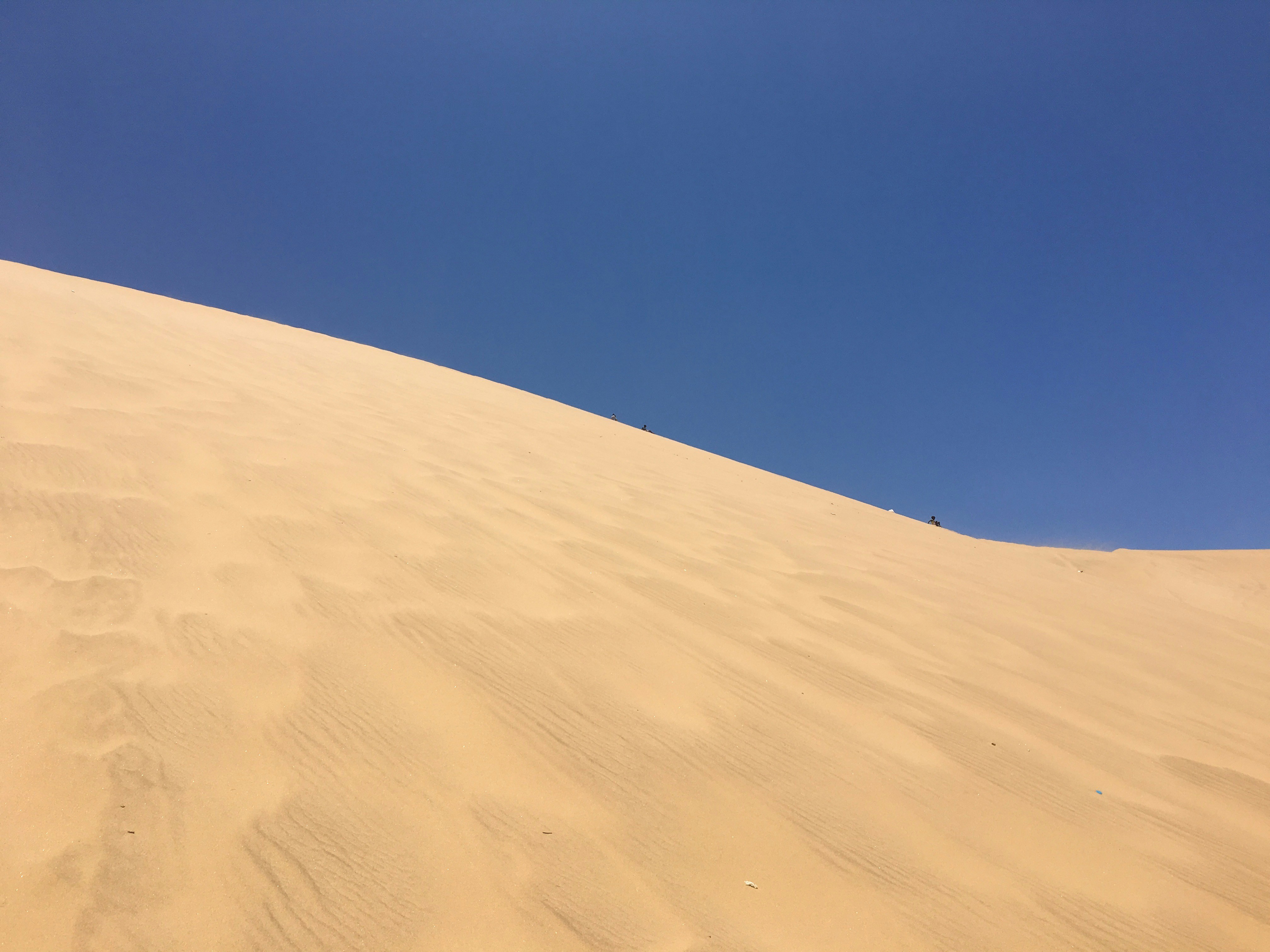 Photo by nemesiscreativity