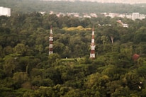 Two communication towers stand amidst a dense forest with lush green trees. In the background, a cityscape with buildings is visible, providing a contrast between nature and urban development.