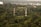 Two communication towers stand amidst a dense forest with lush green trees. In the background, a cityscape with buildings is visible, providing a contrast between nature and urban development.