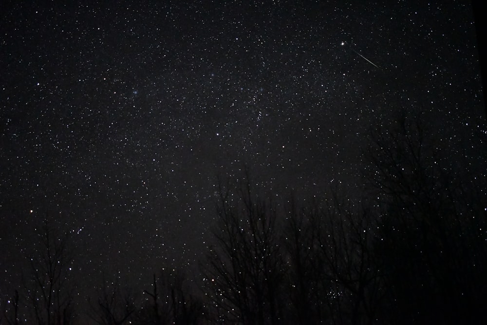 white stars at night