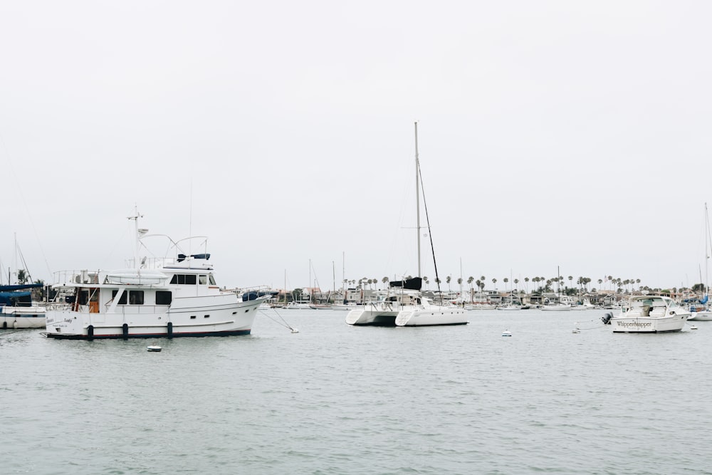 white sailboats