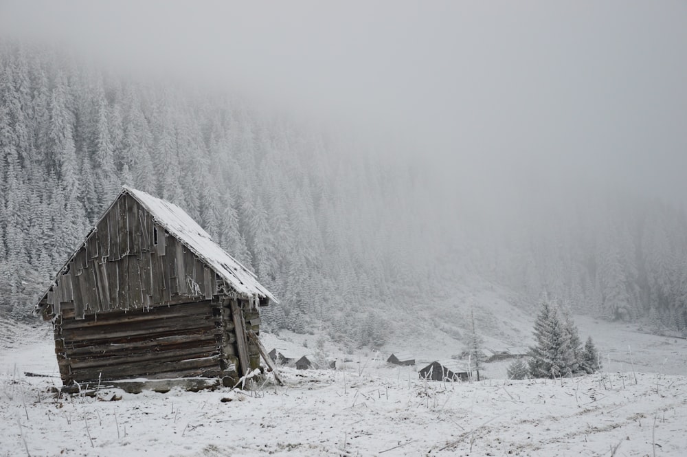 Brauner Holzschuppen in der Nähe von Kiefern im Winter