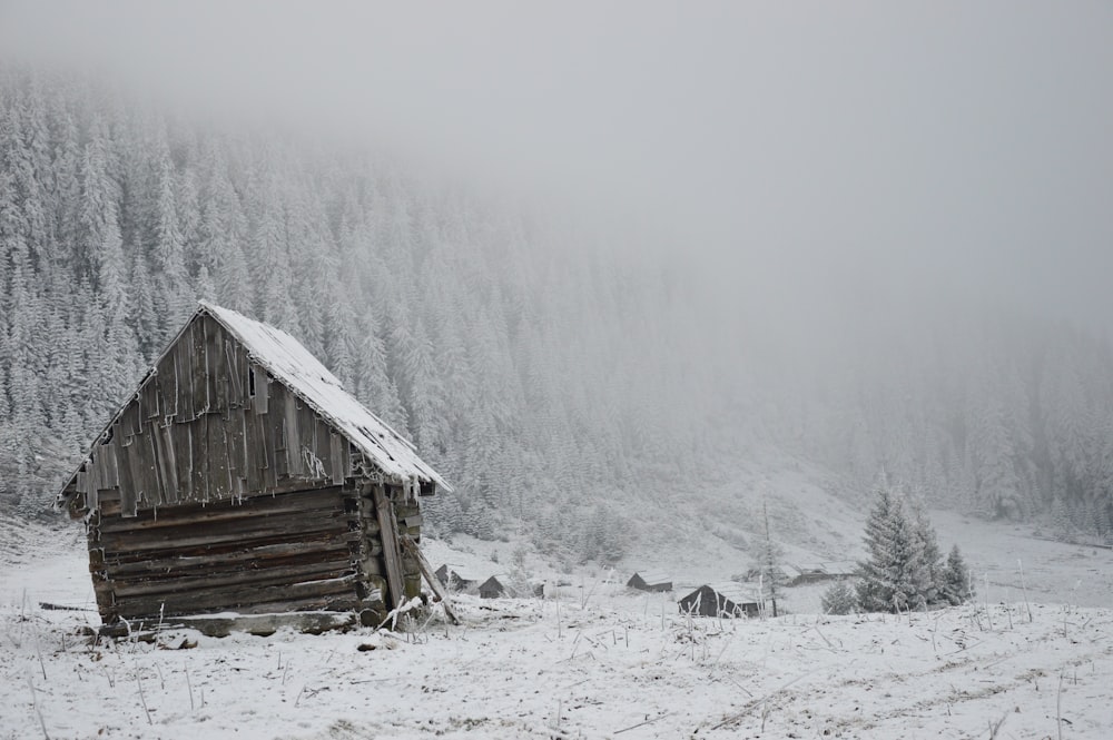 Capannone di legno marrone vicino ai pini durante l'inverno