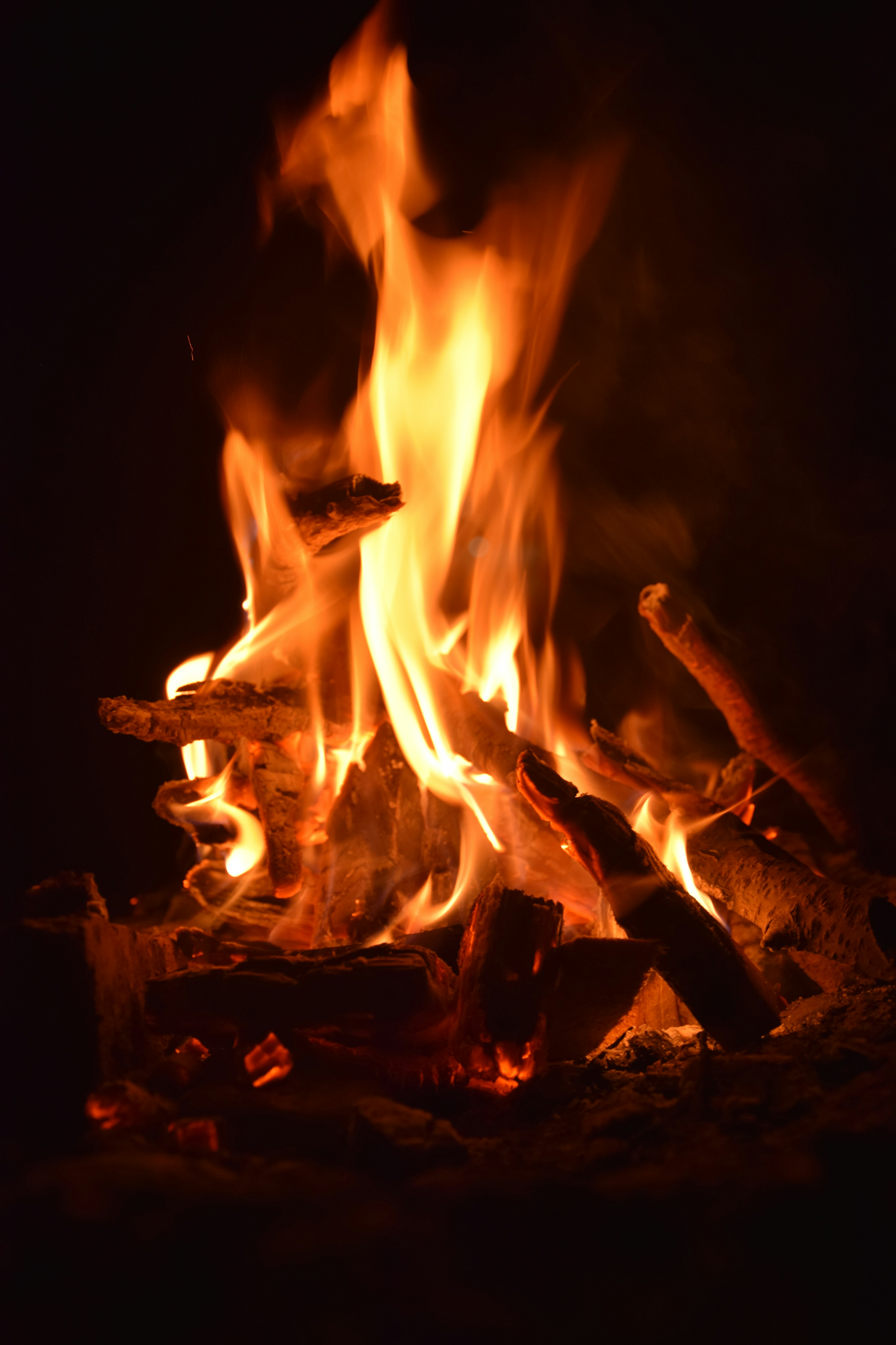 Photo by milad_nazari