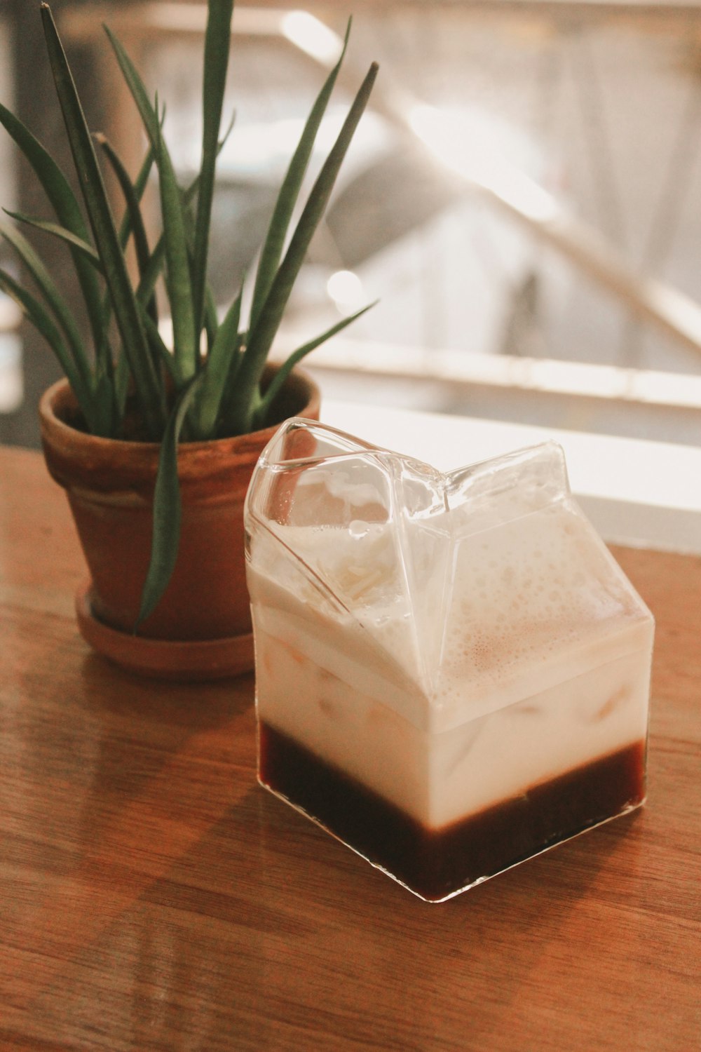 potted aloe vera beside container