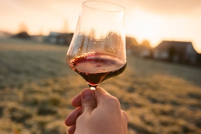 long-stem wine glass filled with liquid