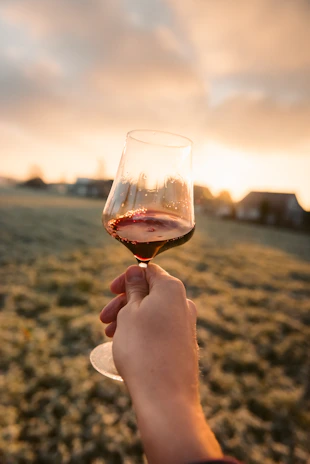 Close-up of a wine glass held against the backdrop of lush vineyards in La Rioja during golden hour.