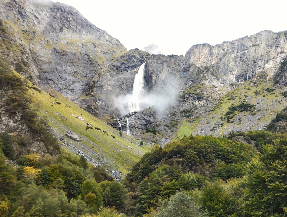 green trees and brown mountain