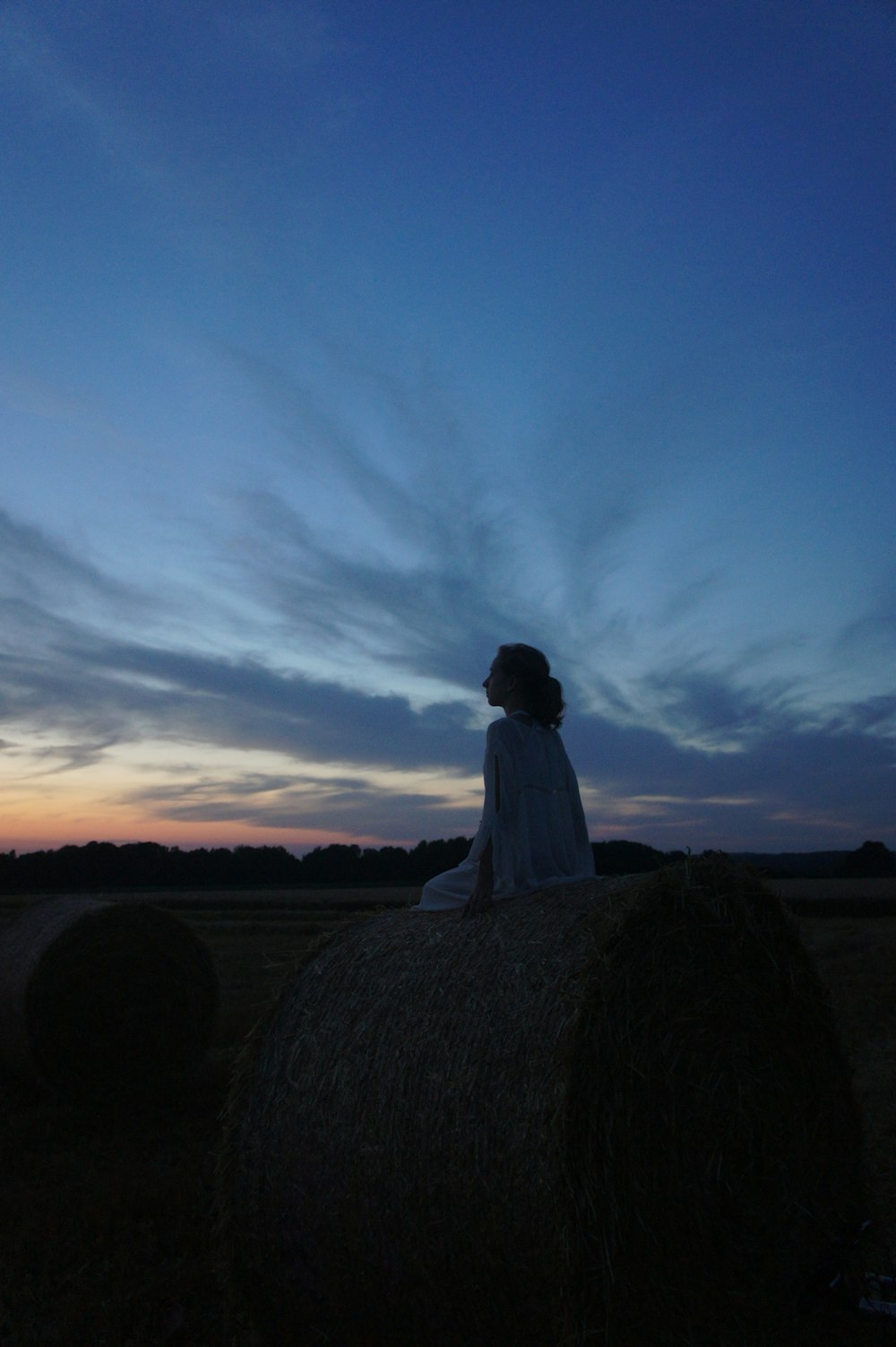 woman sitting on brown hays