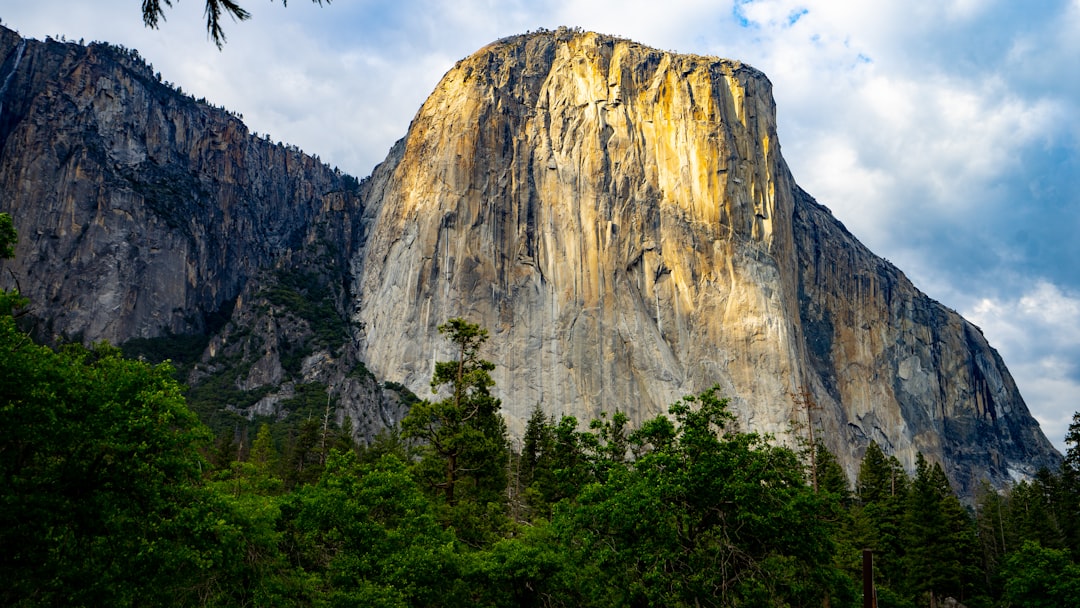 brown rock formation