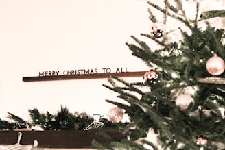 A cozy, welcoming clinic space decorated for the holiday season, hinting at upcoming celebrations.