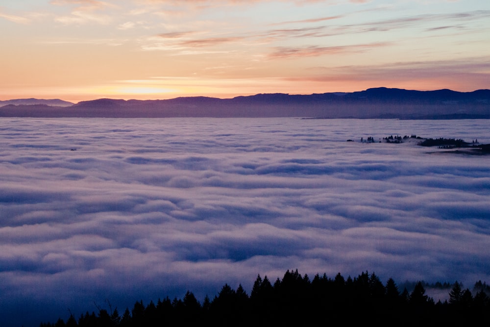 Weiße Wolke