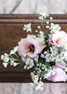 pink and white flowers