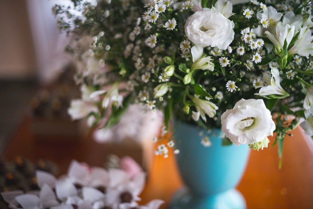 white petaled flowers in vase