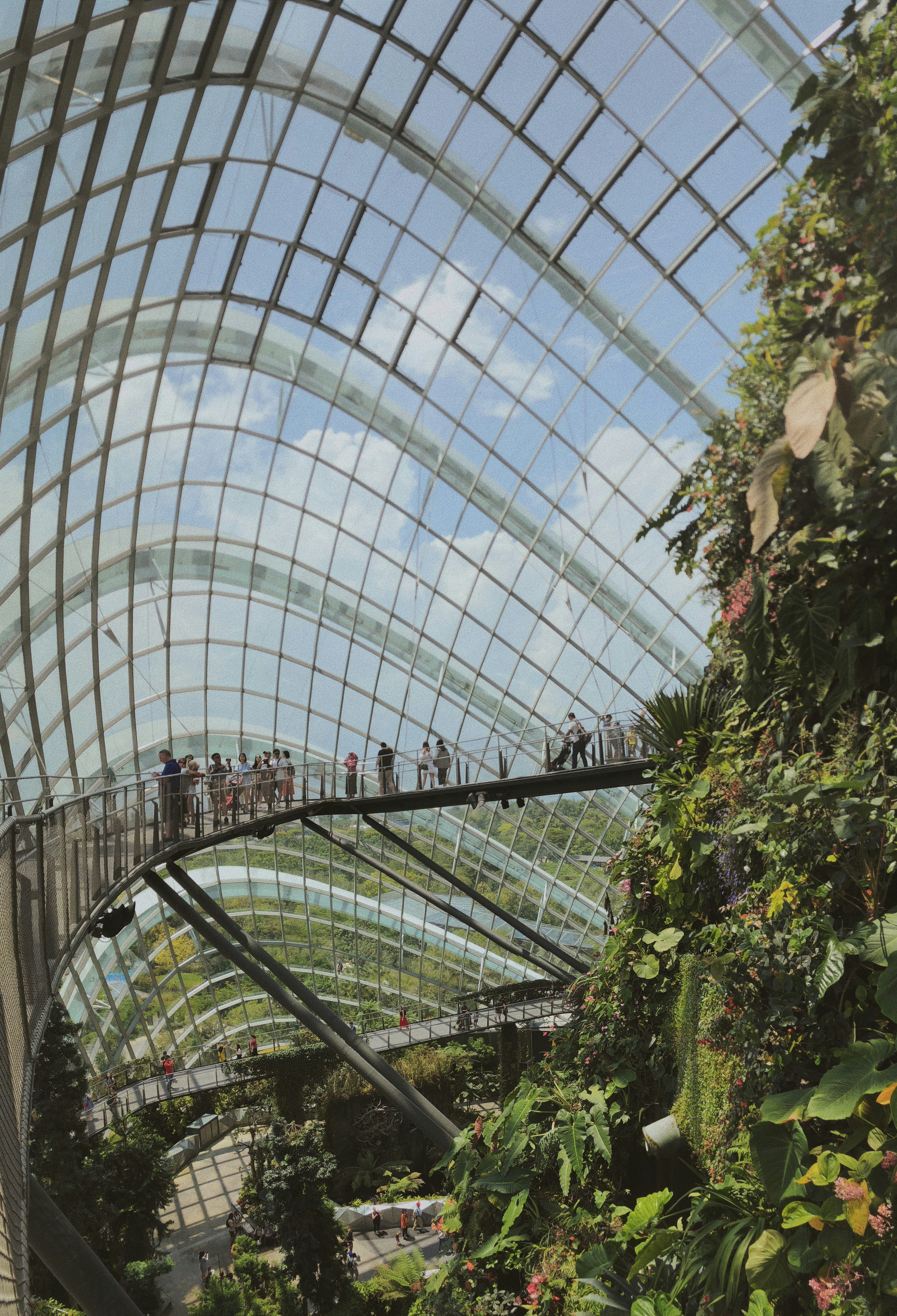 Poof sorry image href gone!