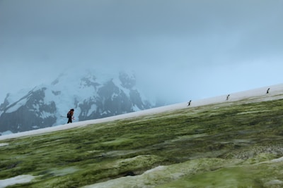 A person dressed in winter gear is hiking or trekking on a snowy mountainous terrain, possibly with a walking stick or hiking pole. The ground is a mix of snow and green moss or vegetation. A few penguins are also visible walking in the snow. The background reveals rocky, snow-covered peaks shrouded in mist or clouds, giving the scene a cold and remote feeling.