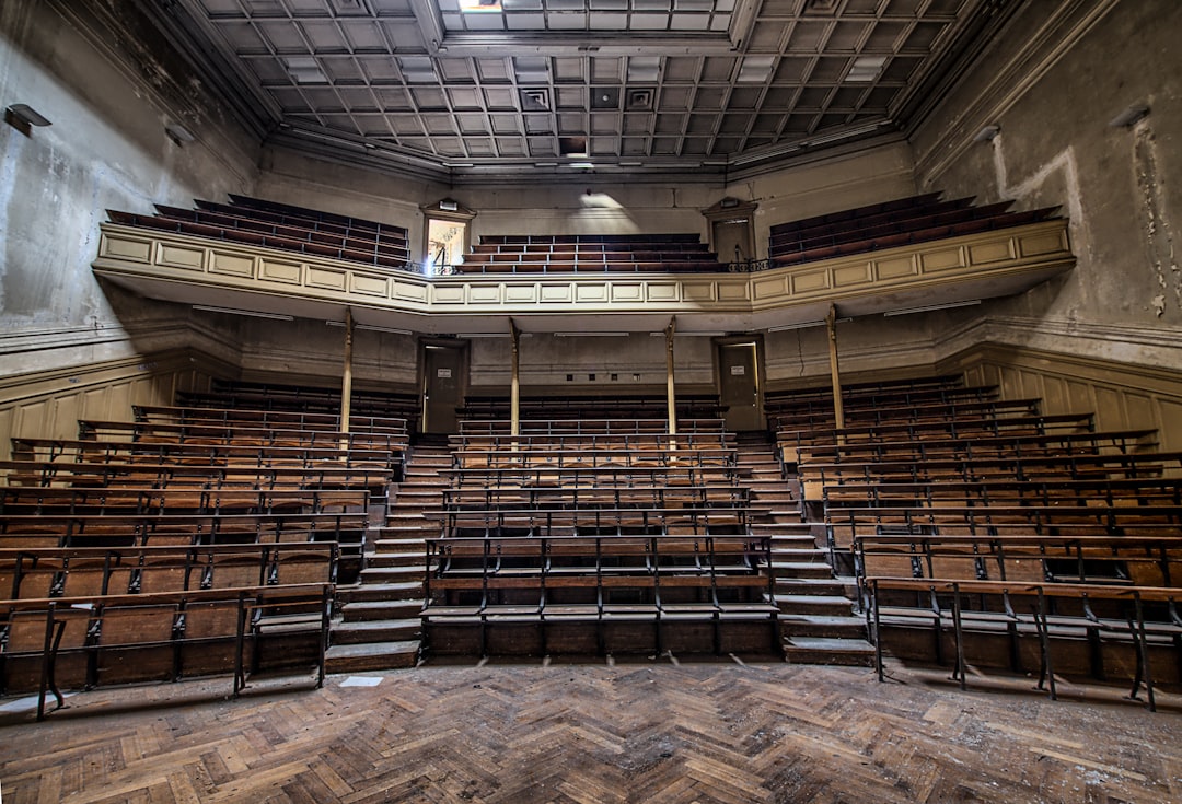 brown theater seat