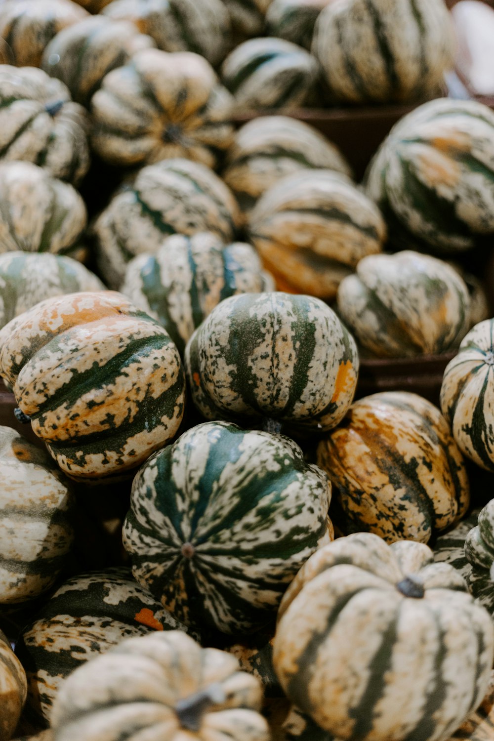 bunch of pumpkins