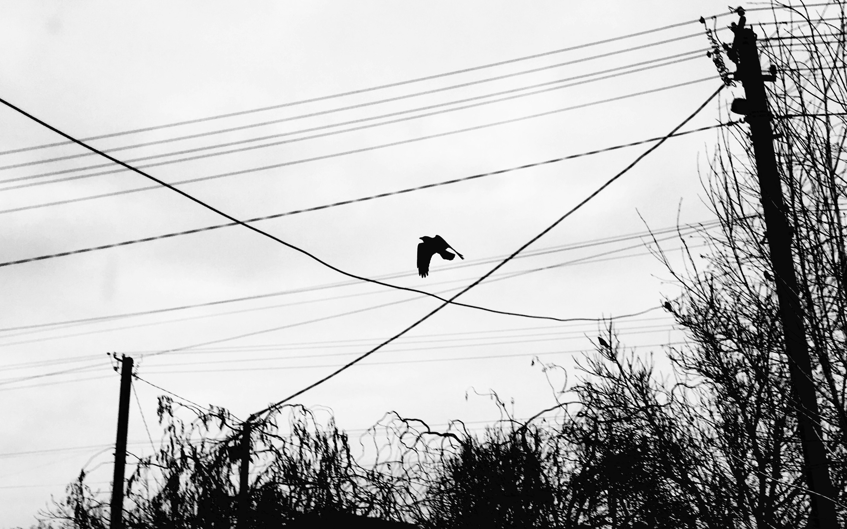 Photo by stackdumper