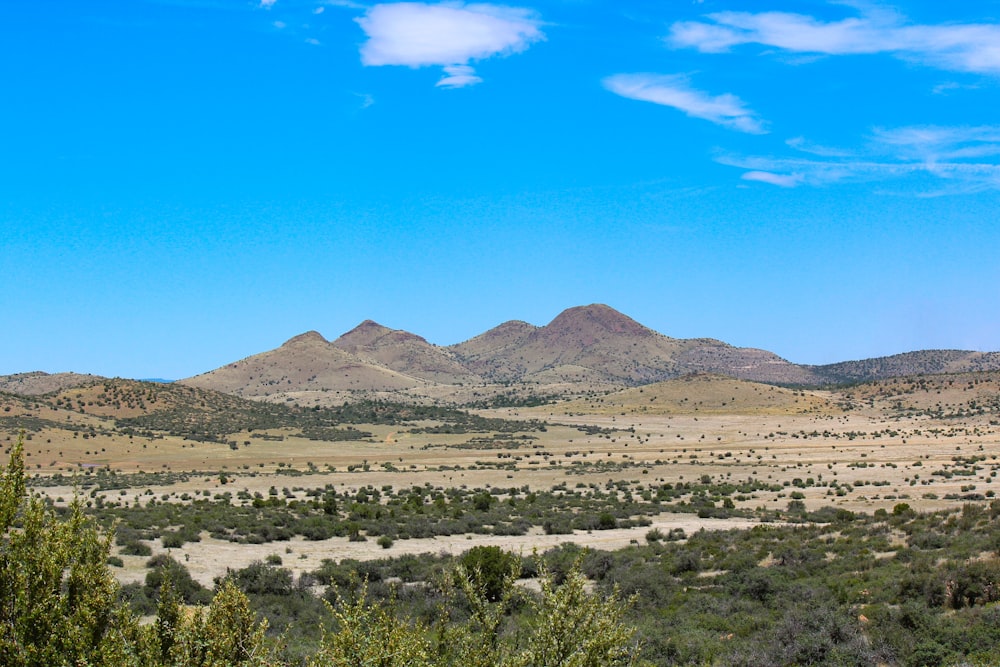 mountain range under clear blue sky during daytime