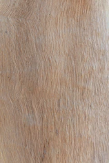 brown and white area rug