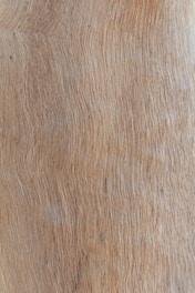 brown and white area rug