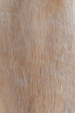 brown and white area rug