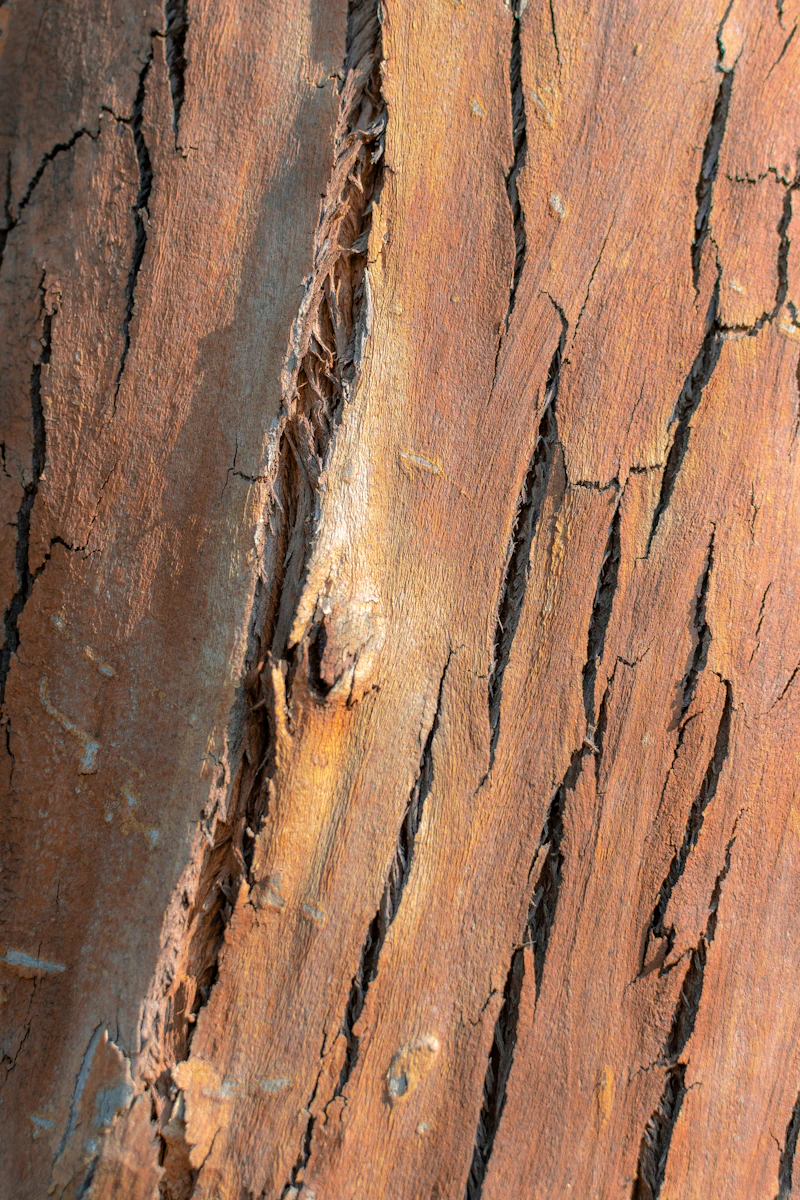 Walnut and maple hardwood milled for framing