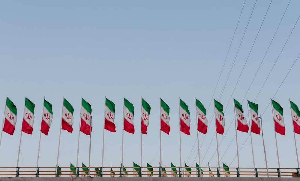 Mexico flags