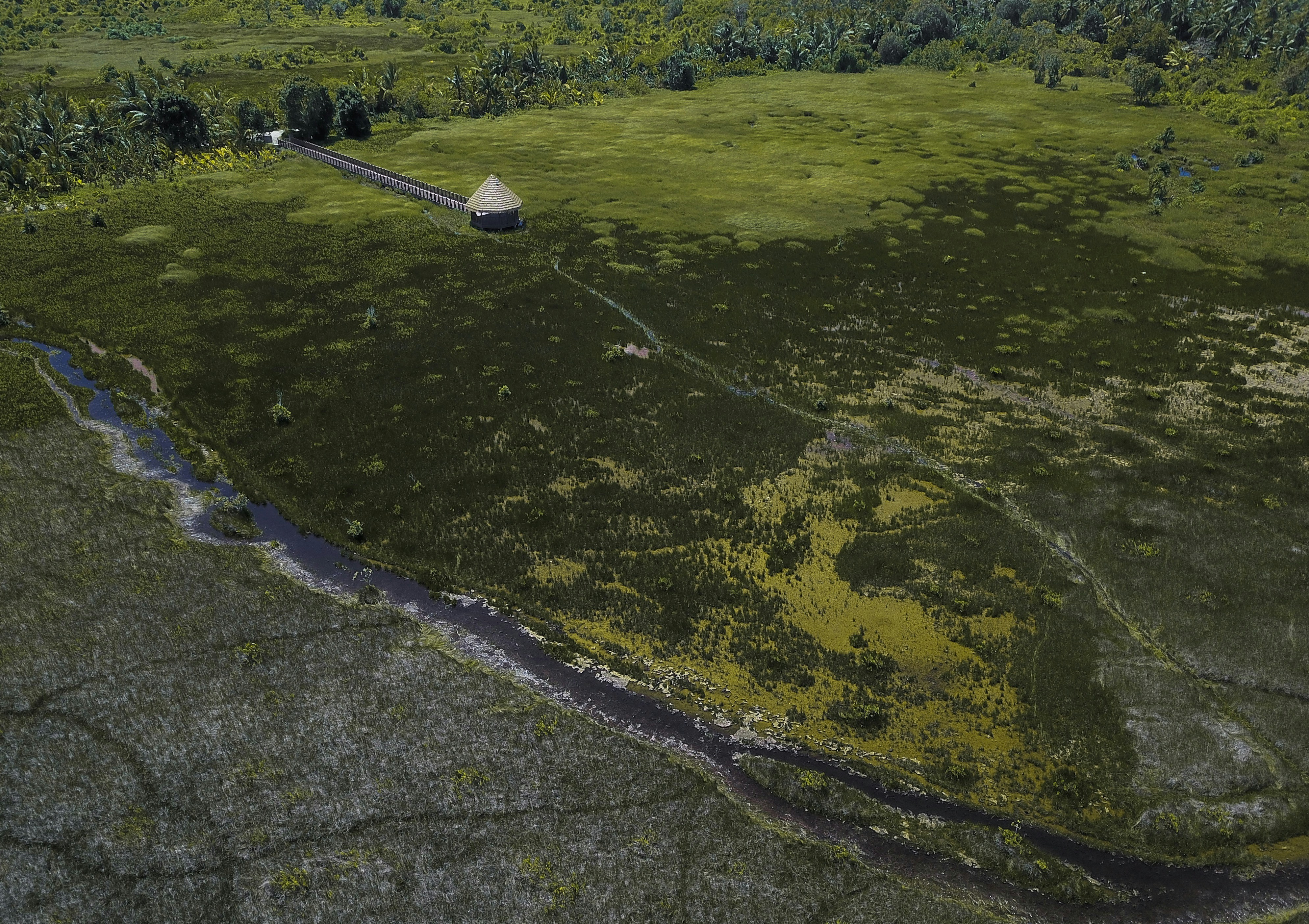aerial view of house on green field