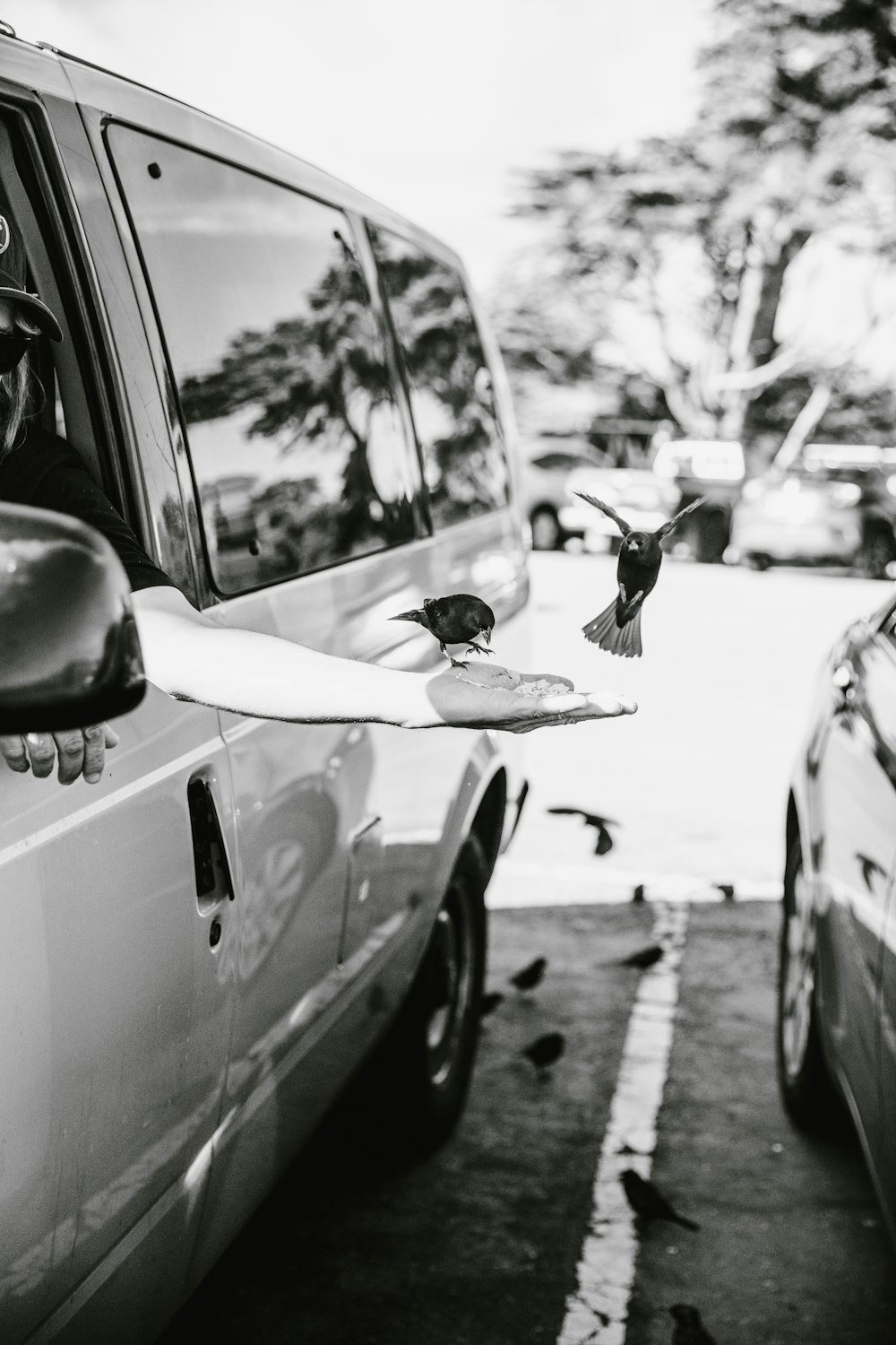 grayscale photography of bird on person's hand