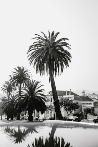 Photo 1544845424 B854d75823e2?q=85&w=500&h=500&fit=crop