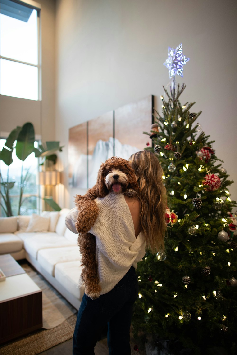 woman carrying dog beside Christmas tree