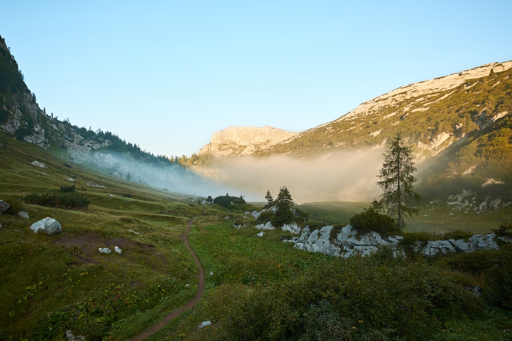 green mountain with fog