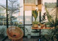 Cozy indoor garden bathed in natural light with comfortable seating.