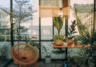 A sunlit indoor garden with various plants in woven baskets placed on a wooden table. A wicker chair adds a cozy touch, and natural light filters through large glass windows, creating an inviting atmosphere.