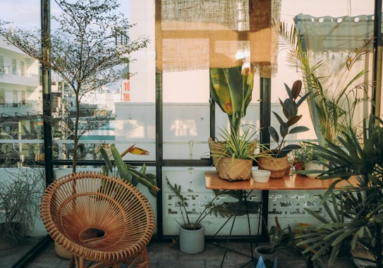 A sunlit indoor garden with various plants in woven baskets placed on a wooden table. A wicker chair adds a cozy touch, and natural light filters through large glass windows, creating an inviting atmosphere.