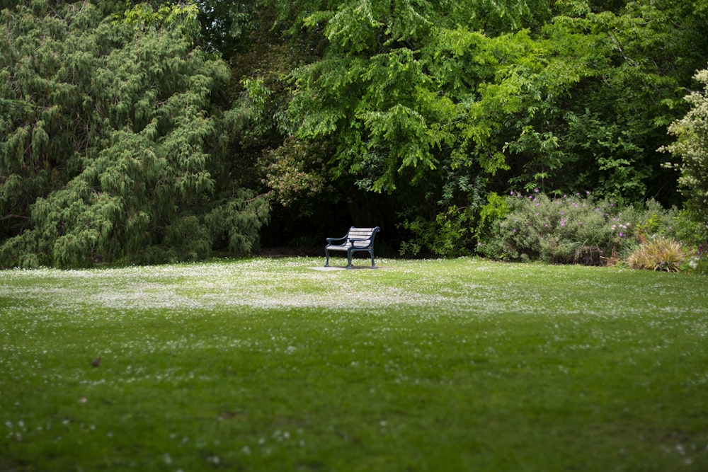empty black wooden bench on green field