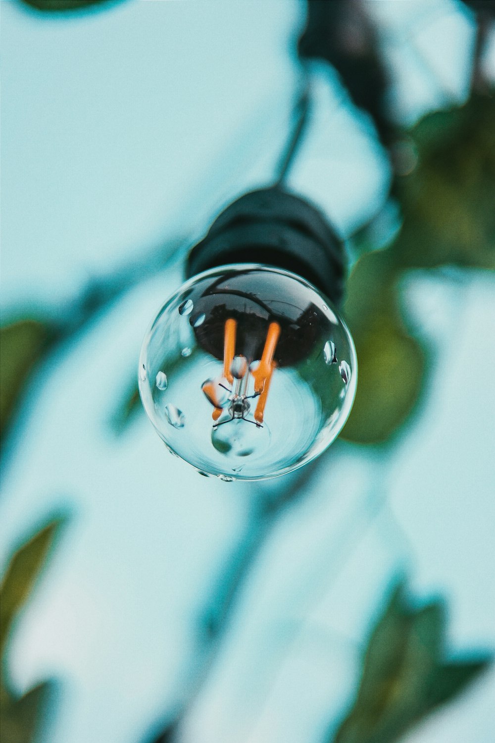 macro photography of turned-off light bulb