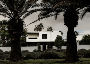 A modern white house with minimalist architecture stands amidst lush greenery. Tall palm trees frame the foreground, providing a tropical ambiance. The sky is overcast, creating a subdued lighting effect.