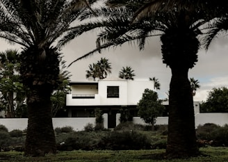 A modern white house with minimalist architecture stands amidst lush greenery. Tall palm trees frame the foreground, providing a tropical ambiance. The sky is overcast, creating a subdued lighting effect.