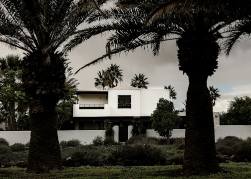 A modern white house with minimalist architecture stands amidst lush greenery. Tall palm trees frame the foreground, providing a tropical ambiance. The sky is overcast, creating a subdued lighting effect.
