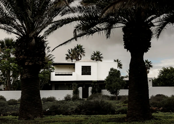 Sunlit modern villa exterior with white walls and wooden accents overlooking lush tropical greenery.