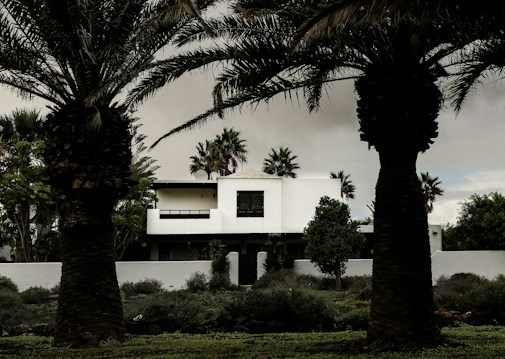 A modern white house with minimalist architecture stands amidst lush greenery. Tall palm trees frame the foreground, providing a tropical ambiance. The sky is overcast, creating a subdued lighting effect.