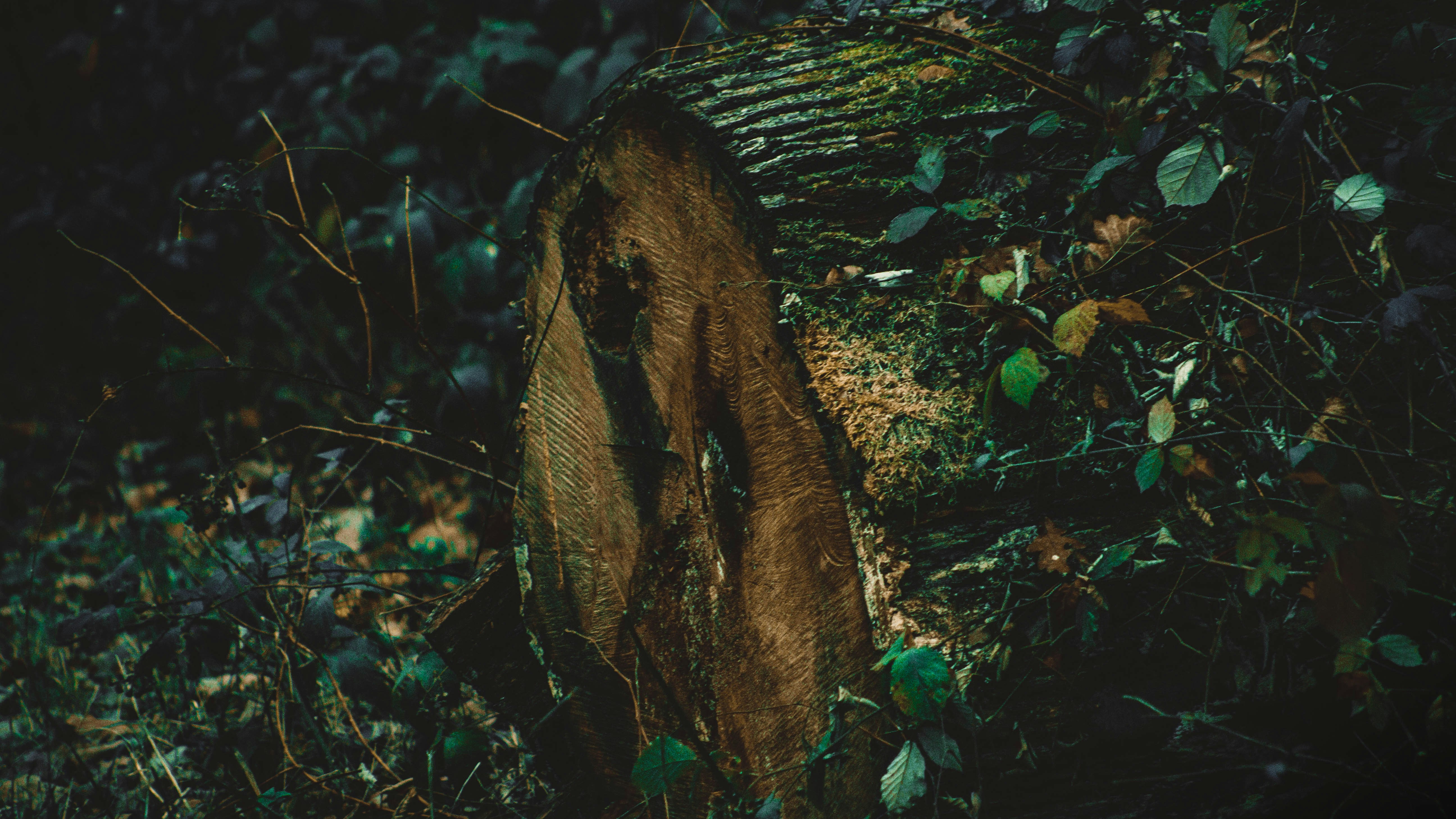 Stojan na misky JUMBO