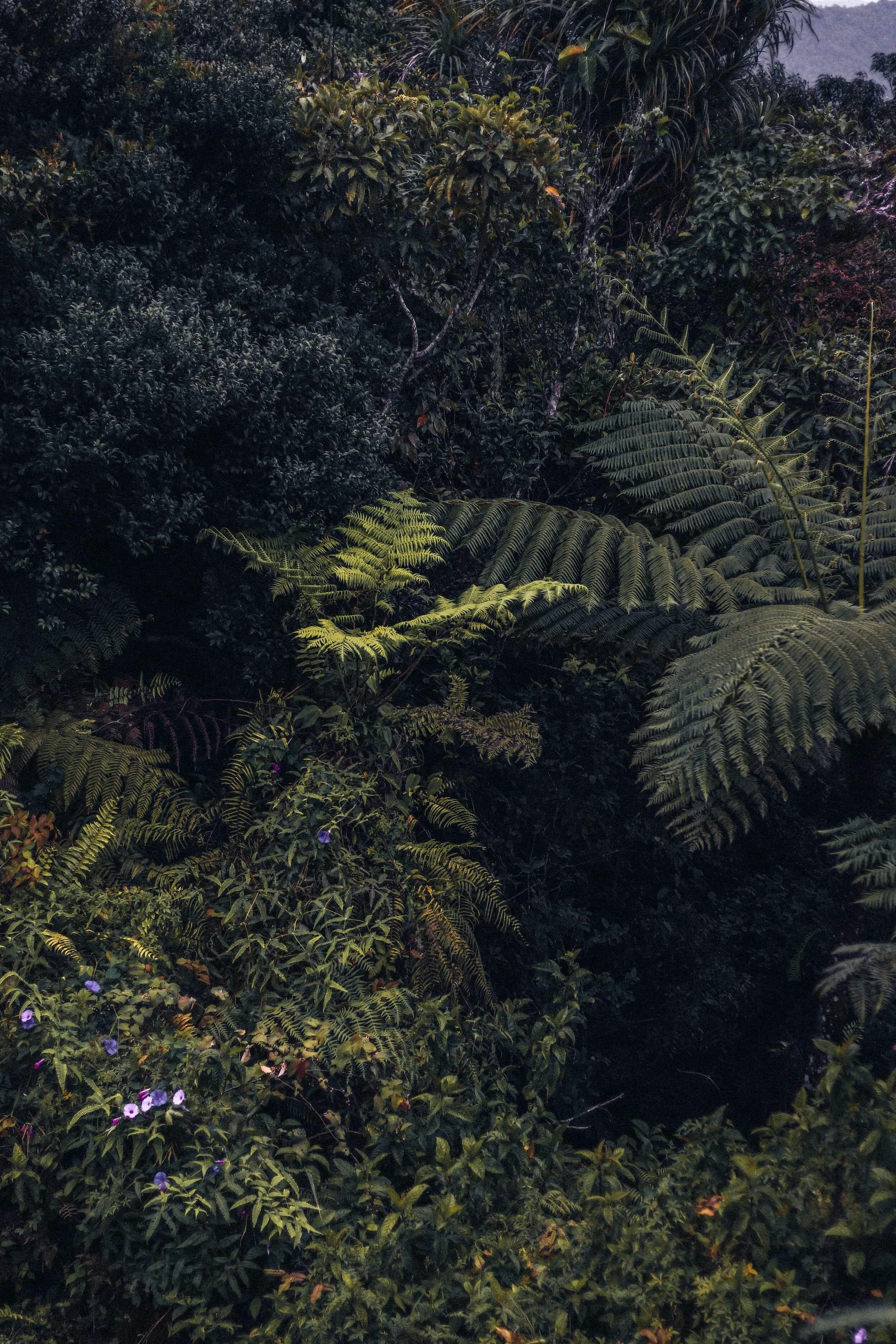 Photo by timtanzy