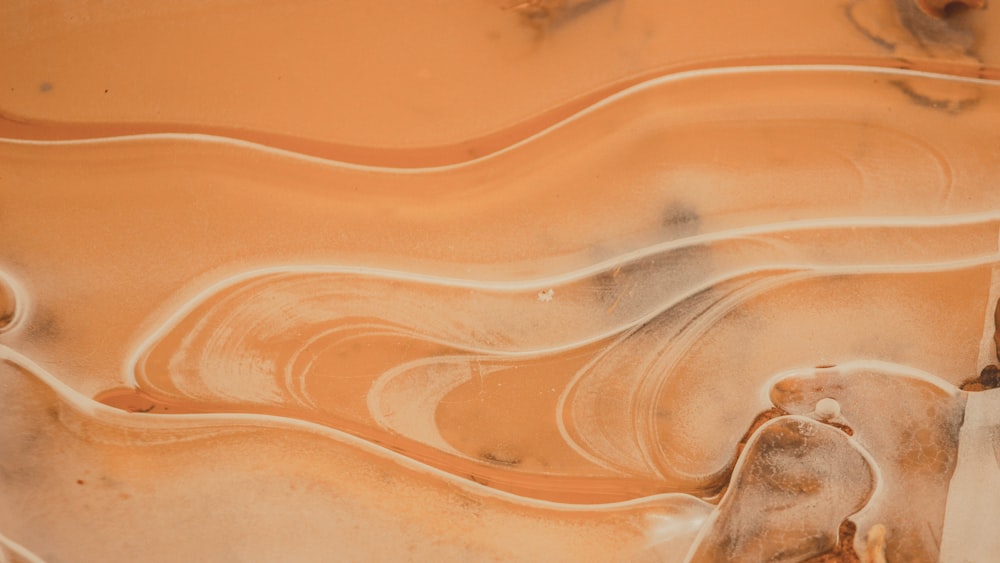 Antelope, Grand Canyon, Arizona